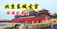 骚逼操死你网站中国北京-东城古宫旅游风景区